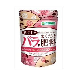 nC|lbNXWp oCt ô܂엿 |piEDIY 엿E͍