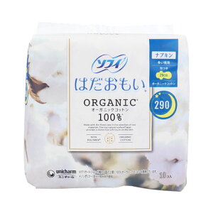 ���j�E�`���[�� �\�t�B �͂������� �I�[�K�j�b�N�R�b�g��100% ������p �H�� 29cm 10�� �t�F�~�j���P�A �����p�i