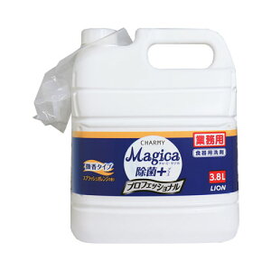 CInCW[ Ɩp `[~[ }WJ Magica ۃvX vtFbVi XvbVIW̍ 3.8L 䏊 Hp