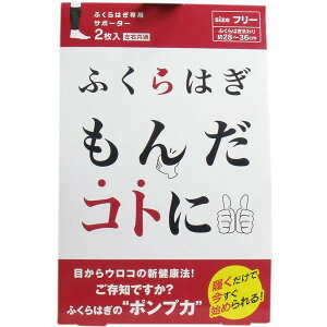 吳 ӂ͂񂾃Rg ӂ͂pT|[^[ t[TCY 2