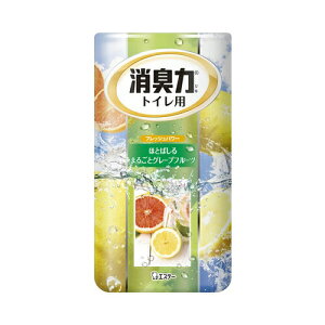 GXe[ gC̏L O[vt[c 400mL FL gCp