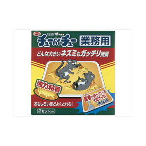 A[X ^`[oC`[ Ɩp 2 E lY~