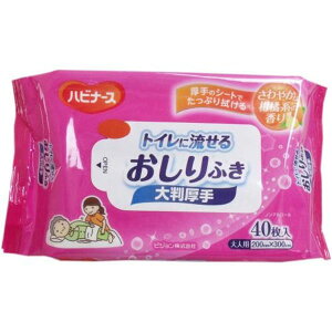 sW nri[X gCɗ邨ӂ 唻 40