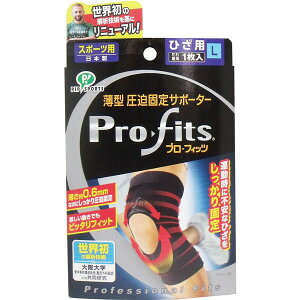 sbv vEtBbc ^ŒT|[^[ Ђp LTCY 1y3܂Ń[ցAiƓsz