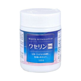 10個まとめ買い 　大洋製薬 皮膚保護　ワセリンHG　100g送料無料 ×10個セット