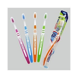 A[XANAtbVnuV߁@1{@[֑