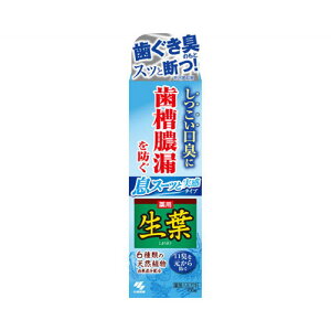 小林製薬株式会社生葉I息スーッと実感100g 送料無料