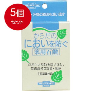 5個まとめ買い からだのにおいを防ぐ薬用石鹸 110g 送料無料 × 5個セット