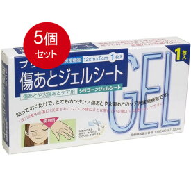 5個まとめ買い プリマ　傷あとジェルシート　シリコンジェルシート　12cm×6cm　1枚入 送料無料 × 5個セット