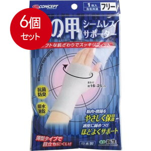 6܂Ƃߔ V[XT|[^[@̍bp@t[TCY@1 [֑ × 6Zbg