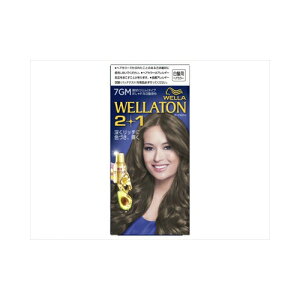 HFCvXe[W EGg[2{1@t^Cv@7GM@