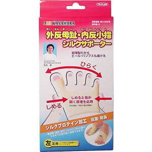 ̔ OEwVNT|[^[@p@1@[֑