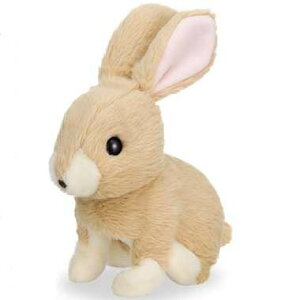 C 318317 ݂݃p^p^~~B@