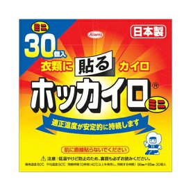 興和 ホッカイロ貼るミニ30P　送料無料