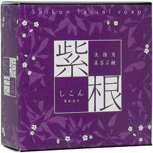 i쏊 p@΂@(Aălbgt)@100g@