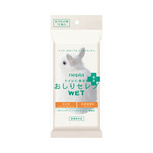 qlsA lsA gCɗ ZuWET p łp 12@[֑