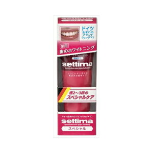 サンスター セッチマはみがきスペシャルケア80G 送料無料