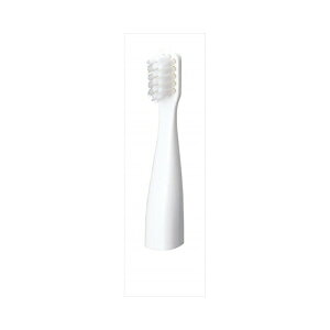 �p�i�\�j�b�N EW0966�|W�|�P�b�g�h���c�p��P�A�{��2P�@���[���֑�������