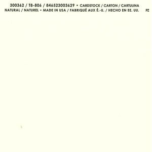 �yAmerican Crafts/�A�����J���N���t�g�z Bazzill Paper �o�W���y�[�p�[ Smoothies 300362 Natural �i�`������(4108014)