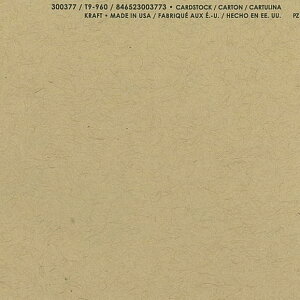 yAmerican Crafts/AJNtgz Bazzill Paper oWy[p[ Smoothies 300377 Kraft Ntg (4108019)