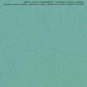 �yAmerican Crafts/�A�����J���N���t�g�z Bazzill Paper �o�W���y�[�p�[ ���m 300793 Lagoon ���O�[���i4107964�j