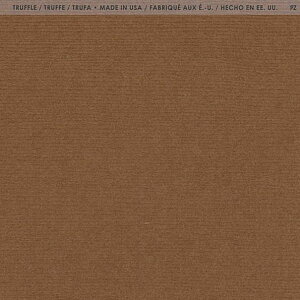 yAmerican Crafts/AJNtgz Bazzill Paper oWy[p[ FOURZ 300940 Truffle gt (4108009)