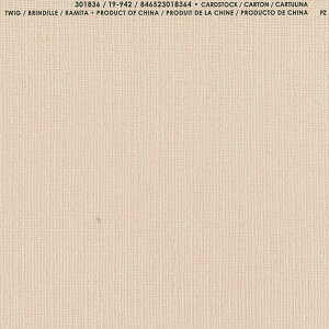 �yAmerican Crafts/�A�����J���N���t�g�z Bazzill Paper �o�W���y�[�p�[ ���m 301836 Twig �g�D�C�O�i4107994�j