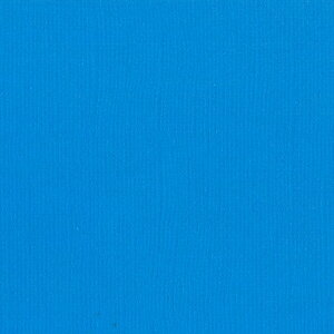 yAmerican Crafts/AJNtgz Bazzill Paper oWy[p[ m 301957 Pauly Poo |[[v[ (4107978j