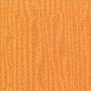 yAmerican Crafts/AJNtgz Bazzill Paper oWy[p[BLING 302098 Tootsie gD[W[(4108028)