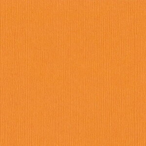 yAmerican Crafts/AJNtgz Bazzill Paper oWy[p[ FOURZ 302360 Tangelo ^WF (4108006)