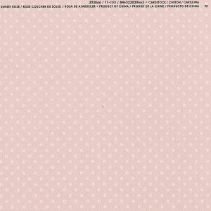 �yAmerican Crafts/�A�����J���N���t�g�z Bazzill Paper �o�W���y�[�p�[ �h�b�g 303066 Sunset Rose �T���Z�b�g ���[�Y �i4108047�j