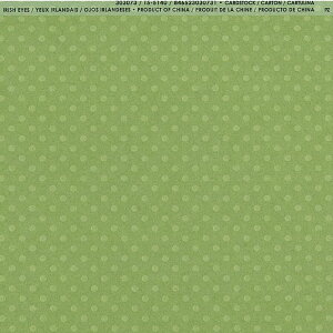 yAmerican Crafts/AJNtgz Bazzill Paper oWy[p[ hbg@303073 Irish Eyes ACbV ACYi4108063j