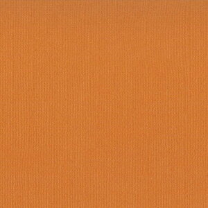 yAmerican Crafts/AJNtgz  Bazzill Paper oWy[p[ m 309010 Yam  i4107944j