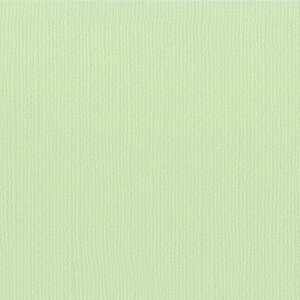 yAmerican Crafts/AJNtgz Bazzill Paper oWy[p[ m 309013 Aloe Vera AGx i4107951j