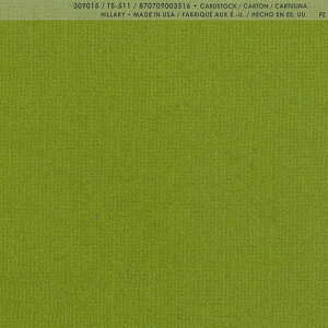 yAmerican Crafts/AJNtgz Bazzill Paper oWy[p[ m 309015 Hillary q[ i4107955j