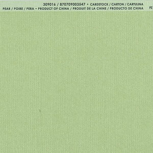 �yAmerican Crafts/�A�����J���N���t�g�z Bazzill Paper �o�W���y�[�p�[ ���m 309016 Pear �y�A�[�i4107960�j