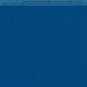 �yAmerican Crafts/�A�����J���N���t�g�z Bazzill Paper �o�W���y�[�p�[ ���m 309026 Arctic �A�[�N�e�B�b�N�i4107974�j