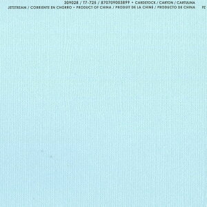 �yAmerican Crafts/�A�����J���N���t�g�z Bazzill Paper �o�W���y�[�p�[ ���m 309028 Jet Stream �W�F�b�g�X�g���[���i4108431�j