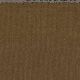 【American Crafts/アメリカンクラフト】 Bazzill Paper バジルペーパー モノ 309036 Pinecone パインコーン（4107998）