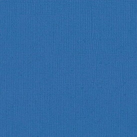 【American Crafts/アメリカンクラフト】 ※ Bazzill Paper バジルペーパー モノ 309215 Blue ブルー（4107988）