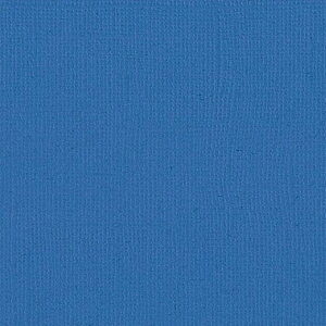 yAmerican Crafts/AJNtgz  Bazzill Paper oWy[p[ m 309215 Blue u[i4107988j