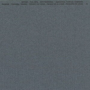 �yAmerican Crafts/�A�����J���N���t�g�z Bazzill Paper �o�W���y�[�p�[ ���m 309245 Thunder �T���_�[ �i4108003�j