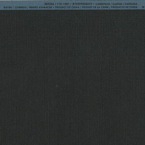 yAmerican Crafts/AJNtgz Bazzill Paper oWy[p[ m 309246 Raven Coi4108005j