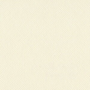 yAmerican Crafts/AJNtgz Bazzill Paper oWy[p[ m 309049 Cream Puff N[pti4108013j