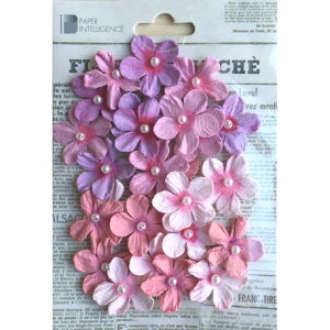 �yPaper Intelligence/�y�[�p�[�C���e���W�F���X�z �t�����[�}���V�F �p�[���y�^�� �X�C�[�g�i4107673�j