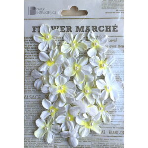 yPaper Intelligence/y[p[CeWFXz t[}VF p[y^ zCgi4107675j