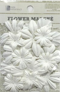 yPaper Intelligence/y[p[CeWFXz t[}VF y^A\[g zCgi4108601j