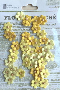 yPaper Intelligence/y[p[CeWFXz t[}VF }CNy^ CG[i4107669j