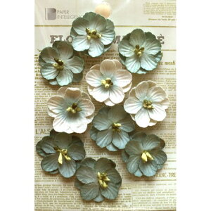 yPaper Intelligence/y[p[CeWFXz t[}VF t[ u[i4108832j