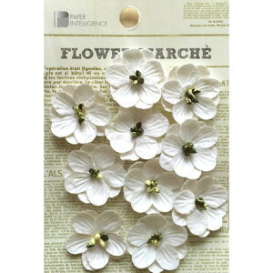 yPaper Intelligence/y[p[CeWFXz t[}VF t[ zCgi4108833j